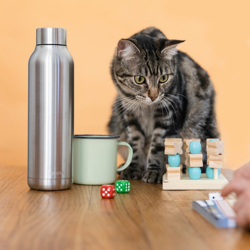 silver tabby cat on brown wooden table